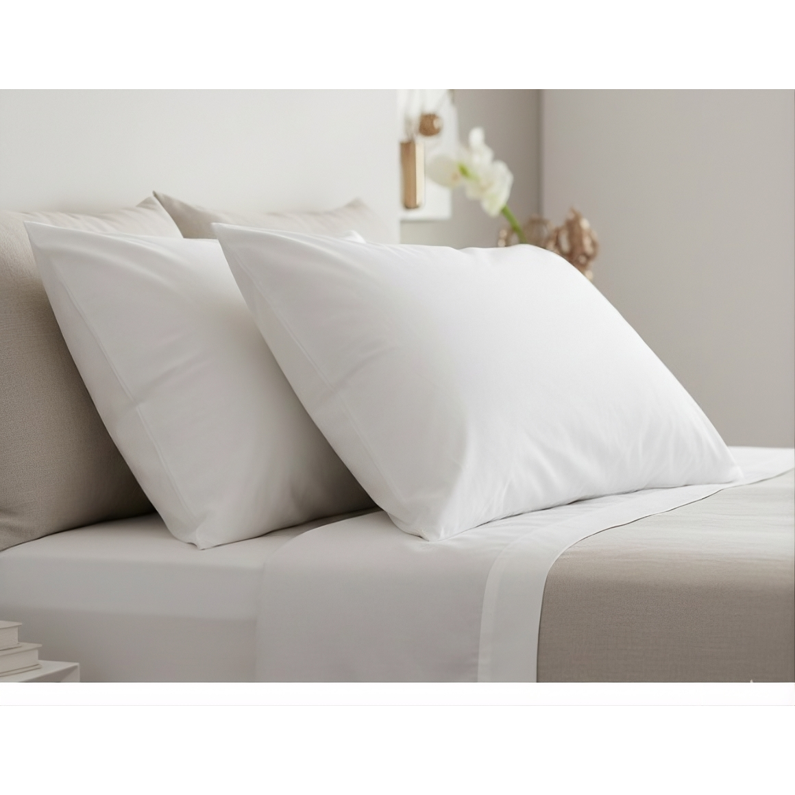 Anti-allergic pillows luxecotton pakistan